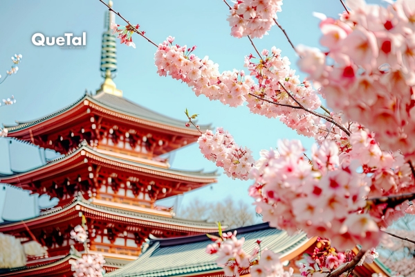 ¡Japón cambia su sistema Tax Free en noviembre!