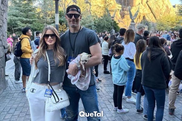 Tras divorcio, Sofía Vergara le deja a Joe Manganiello la custodia de su perra