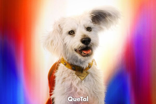 Krypto de ‘Superman’ aumenta adopción de perritos
