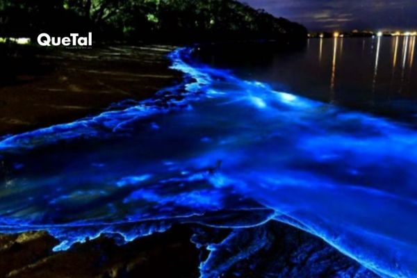 La laguna con bioluminiscencia que debes visitar estas vacaciones