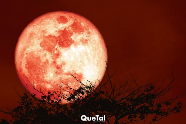 Lo que debes saber sobre la luna de esturión de agosto 2025