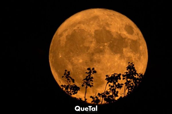 Luna de Ciervo: todo sobre la luna llena de julio y cómo disfrutarla