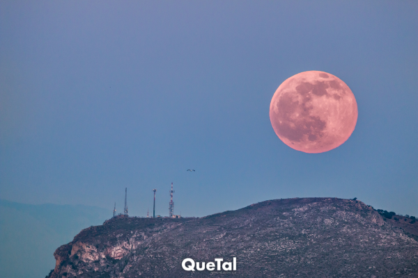 ¿Qué es la luna de fresa y cómo aprovechar su energía para atraer la buena suerte?