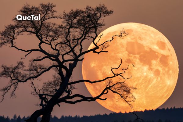 Así podrás ver la 'Luna Fría', uno de los últimos eventos astronómicos del año