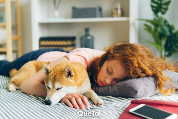 Dormir con tu mascota ¿Beneficio o riesgo para tu salud?