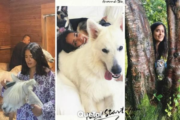 Búhos, llamas, caballos y perros; Salma Hayek sorprende con todas las mascotas que tiene en casa