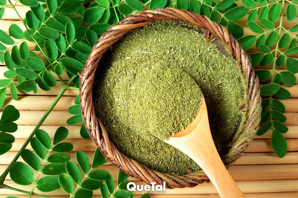 Esto es lo que sucede si consumes polvo de moringa a diario