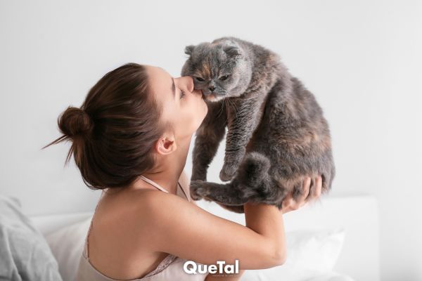 Estudio revela cómo los gatos benefician la memoria femenina