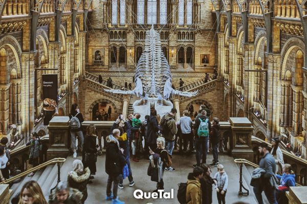 Los museos más impresionantes del mundo que no te puedes perder