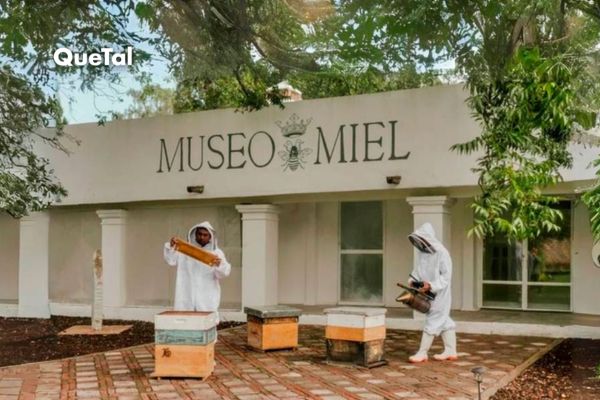 Museo de Miel: Una experiencia ecoturística ideal para niños
