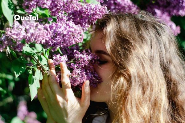 Tu nariz también evolucionó: el olfato cambió con la vida moderna