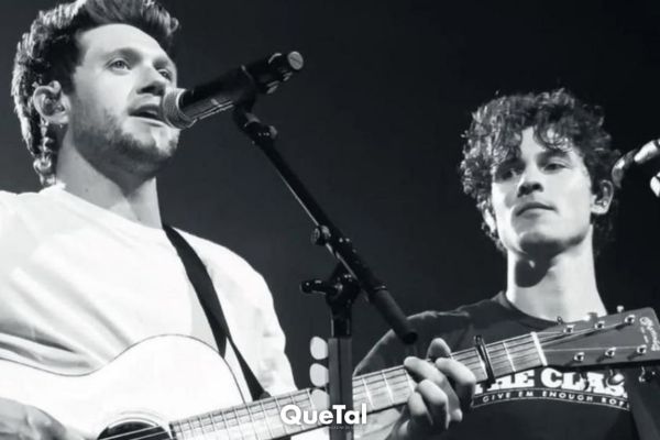 Vuelve Niall Horan a los escenarios, ¡con Shawn Mendes!