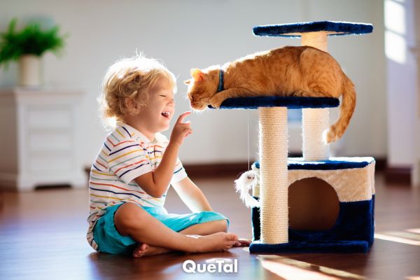 Mascotas en casa: una guía sobre sus efectos positivos en la infancia