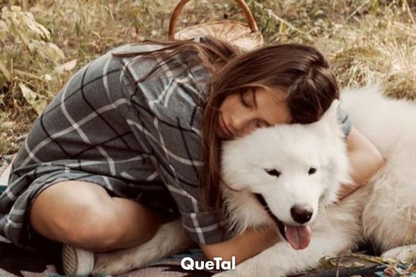 Cinco formas de demostrarle a tu perro que lo amas, según un adiestrador experto