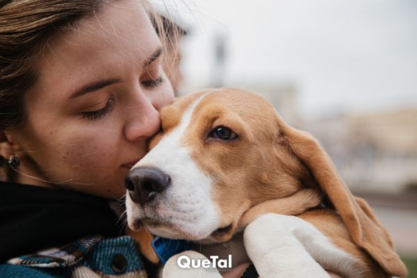 Las 5 razas de perros ideales para mujeres