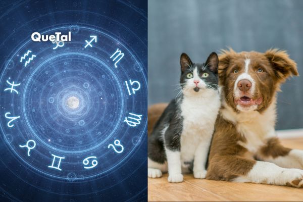 ¿Sabías que las mascotas tienen signo zodiacal?