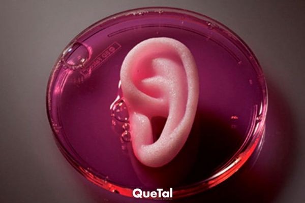 Potosina lidera proyecto de bioimpresión 3D en España