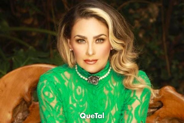 Aracely Arámbula lanza nuevas indirectas a Luis Miguel y Myrka Dellanos lo defiende. 