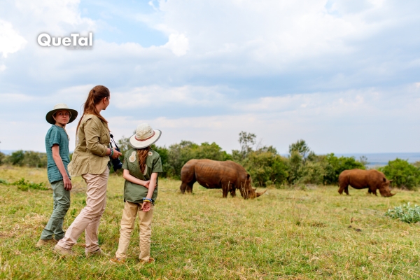Las experiencias más exclusivas del mundo