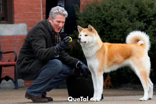 La verdadera historia de Hachiko