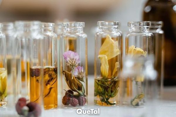 Los aromas que amarás esta primavera: tendencias en perfumes 2024