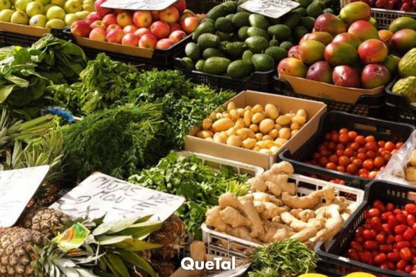  ¿Cómo mantener los alimentos frescos en temporada de calor? 6 consejos