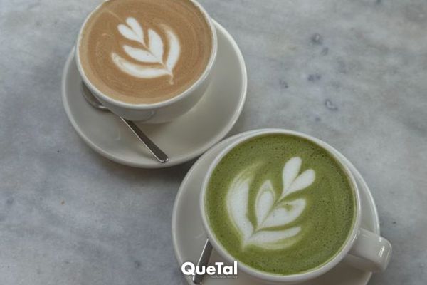 Café o té matcha: ¿cuál es mejor para el cuerpo?