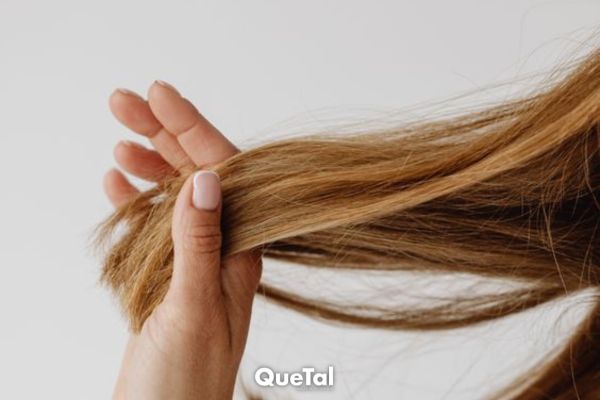 ¿Caída del cabello en otoño?: descubre cómo detenerla y hacer tu pelo más fuerte