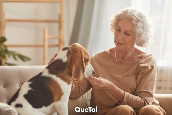 Compañía y salud: los beneficios de las mascotas en adultos mayores
