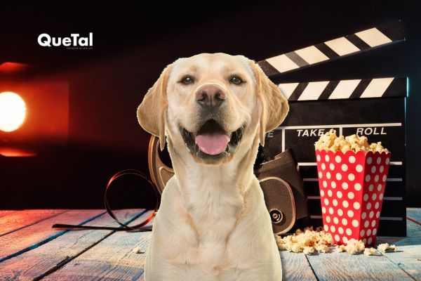 Perritos invaden el cine para ver 'Zootopia 2' con sus dueños